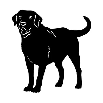 12.2 * 12.8 CM Labrador Retriever Köpek araba kılıfı Scratch Hayvan Çıkartmaları Güzel Hayvan Araba Dekoratif Çıkartmaları C6-0235