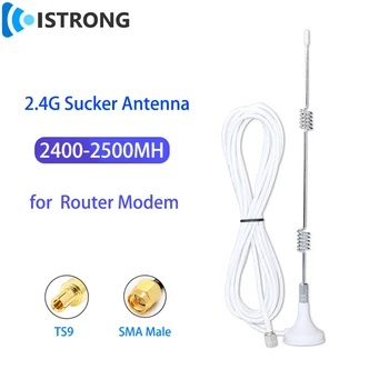 2.4 G Enayi Omni Anten 7dBi Yüksek Kazanç WiFi Bluetooth Sinyal Güçlendirici Amplifikatör SMA TS9 Konektörü Kablosuz Yönlendirici Modem