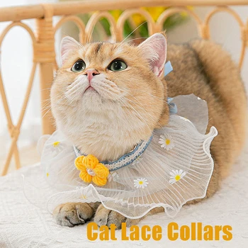 Sevimli Dantel kedi kayışları Ayarlanabilir Sarı Çiçek Dekore Şampanya Kediler Kolye Tatlı Prenses Tarzı Küçük Köpek evcil hayvan aksesuarları