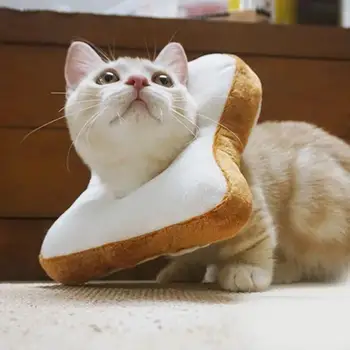 Yumuşak Güzel Pet Yaka Köpek Kediler Yavru Karikatür tost ekmeği Şekli Eşarp Şapkalar Sahne